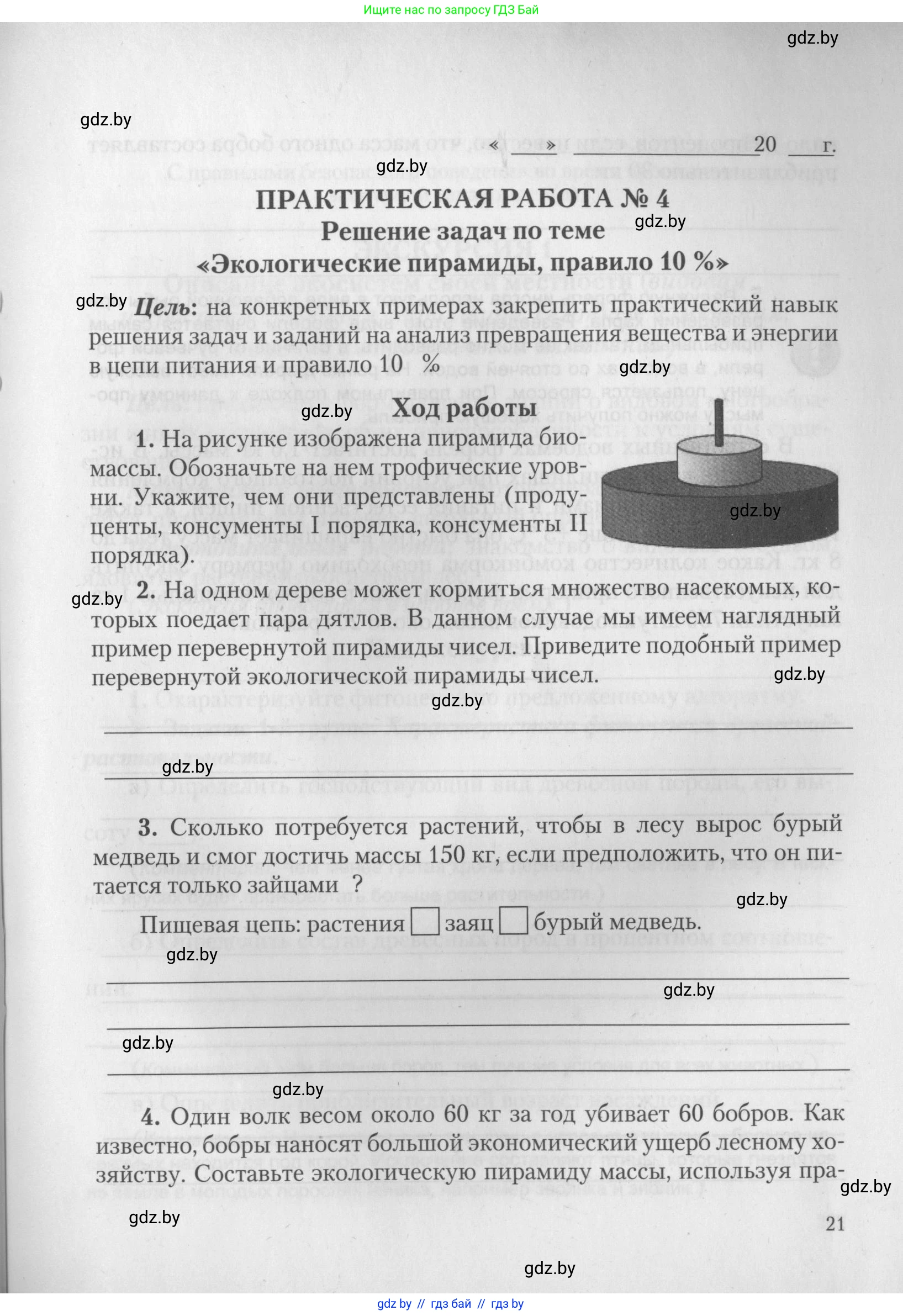 Биология, 10 класс тетрадь для лабораторных, практических работ и экскурсий, автор: Новик Ирина Михайловна, издательство Сэр-Вит, Минск, 2020, салатового цвета, страница 21
