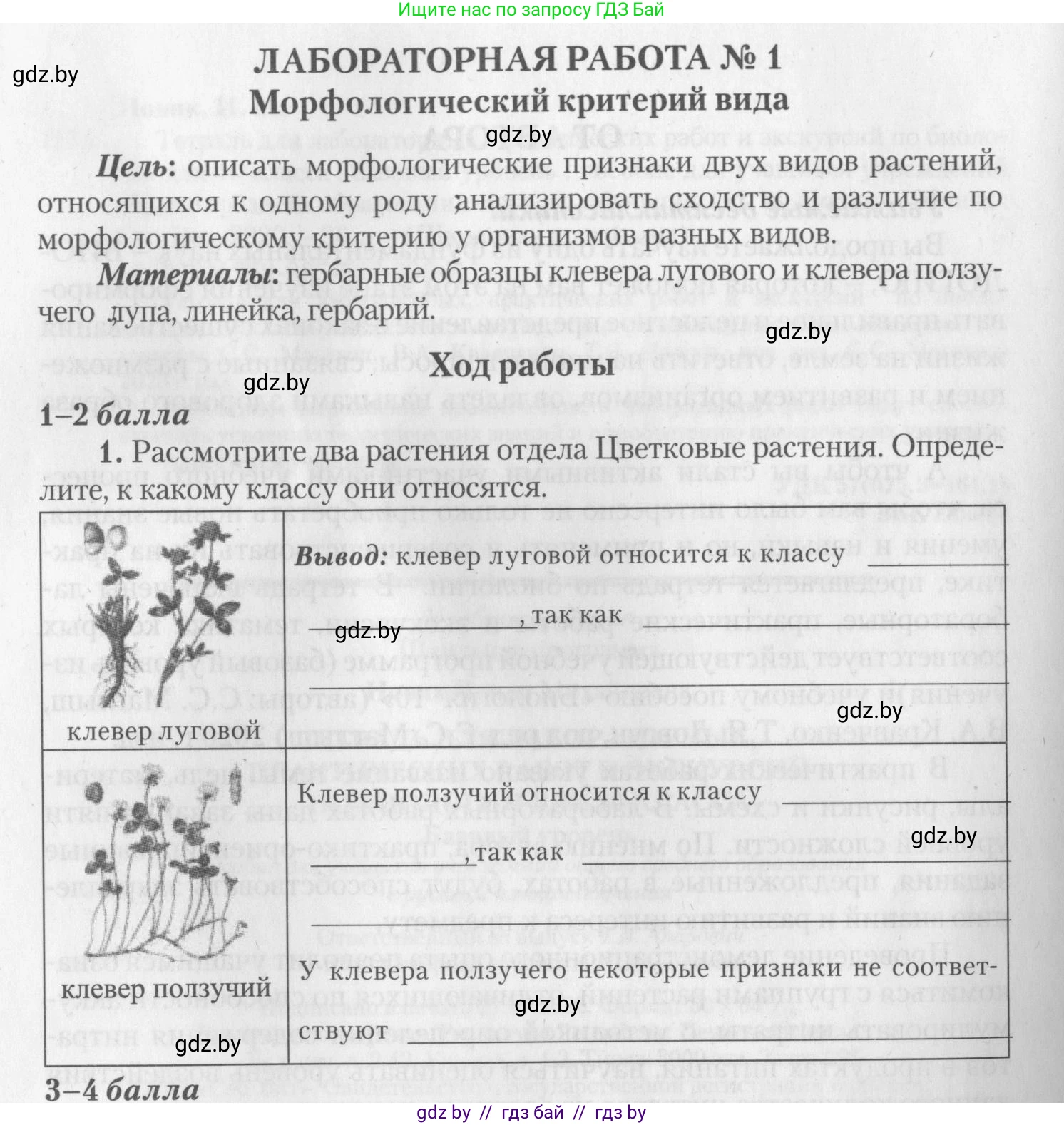 Биология, 10 класс тетрадь для лабораторных, практических работ и экскурсий, автор: Новик Ирина Михайловна, издательство Сэр-Вит, Минск, 2020, салатового цвета, страница 4, номер 1, Условие