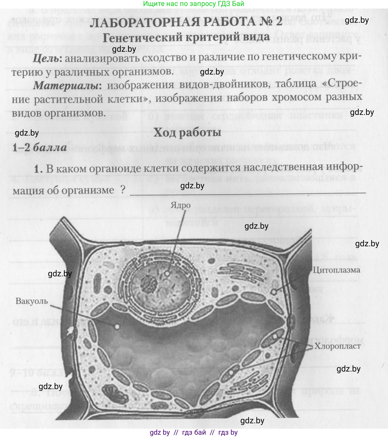 Биология, 10 класс тетрадь для лабораторных, практических работ и экскурсий, автор: Новик Ирина Михайловна, издательство Сэр-Вит, Минск, 2020, салатового цвета, страница 8, номер 1, Условие