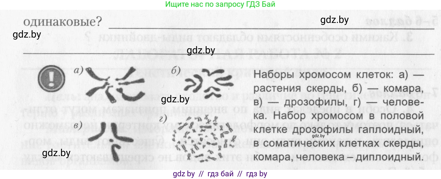 Биология, 10 класс тетрадь для лабораторных, практических работ и экскурсий, автор: Новик Ирина Михайловна, издательство Сэр-Вит, Минск, 2020, салатового цвета, страница 9, номер 6, Условие (продолжение 2)