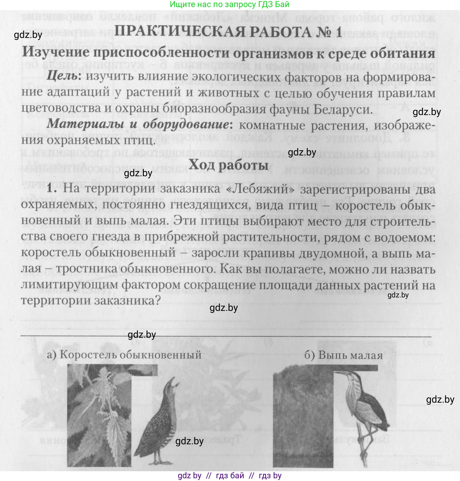 Биология, 10 класс тетрадь для лабораторных, практических работ и экскурсий, автор: Новик Ирина Михайловна, издательство Сэр-Вит, Минск, 2020, салатового цвета, страница 11, номер 1, Условие