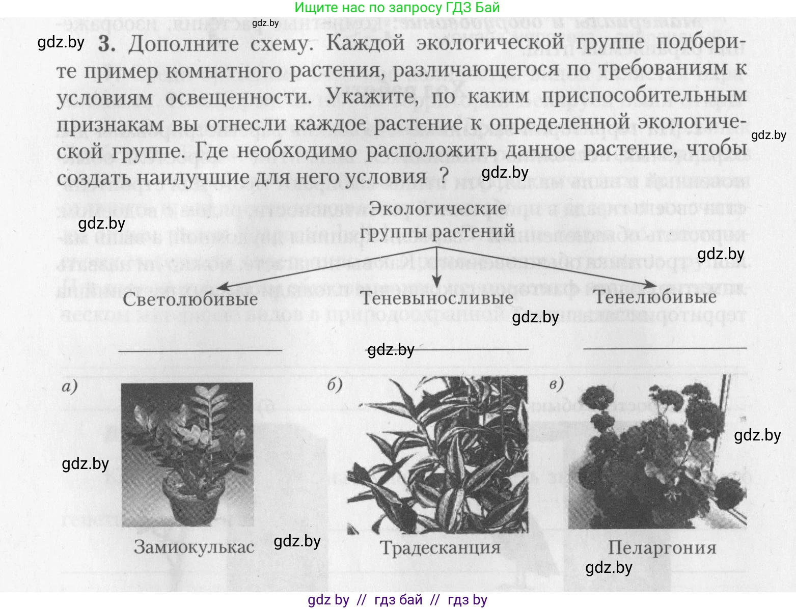 Биология, 10 класс тетрадь для лабораторных, практических работ и экскурсий, автор: Новик Ирина Михайловна, издательство Сэр-Вит, Минск, 2020, салатового цвета, страница 12, номер 3, Условие