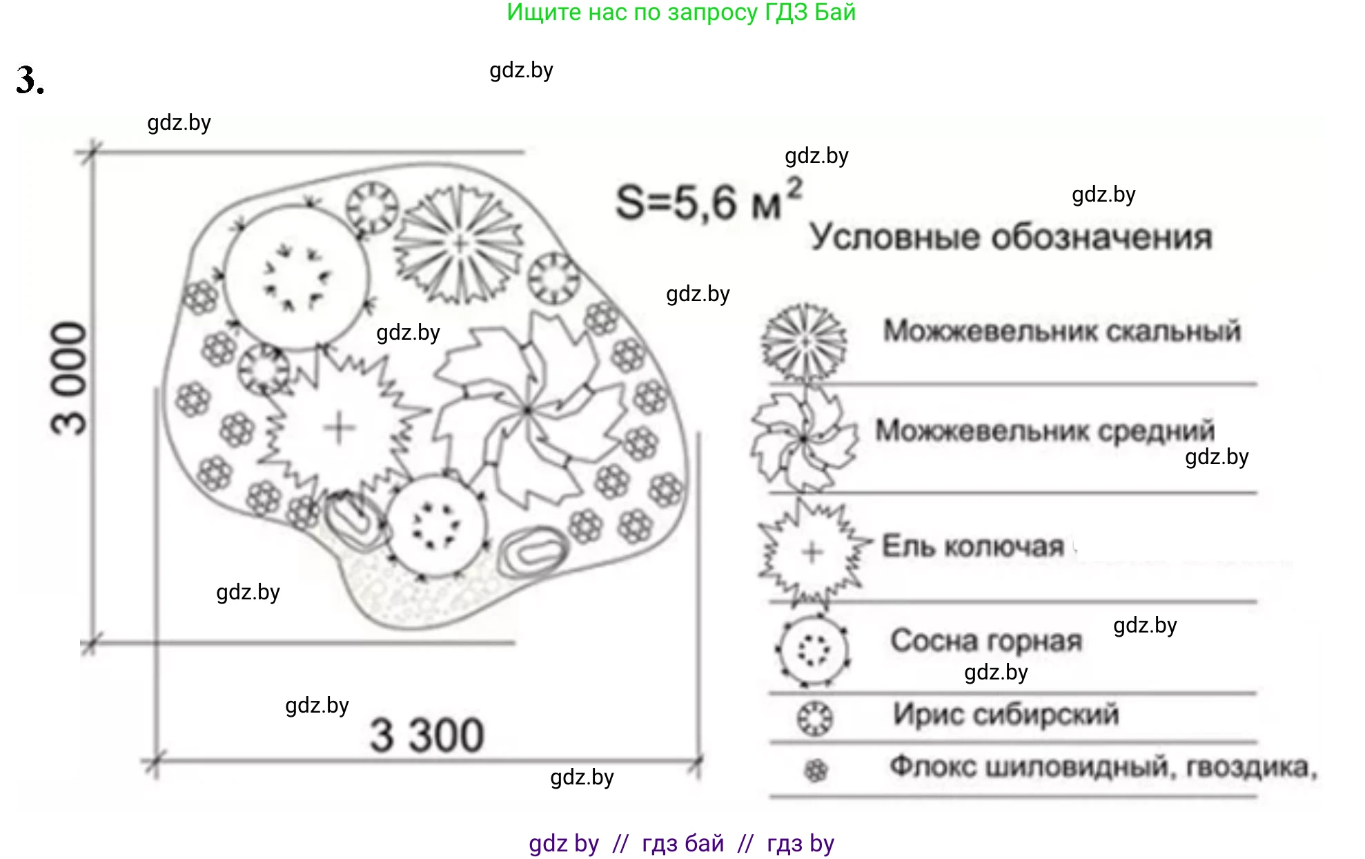 Биология, 10 класс тетрадь для лабораторных, практических работ и экскурсий, автор: Новик Ирина Михайловна, издательство Сэр-Вит, Минск, 2020, салатового цвета, страница 28, номер 3, Решение