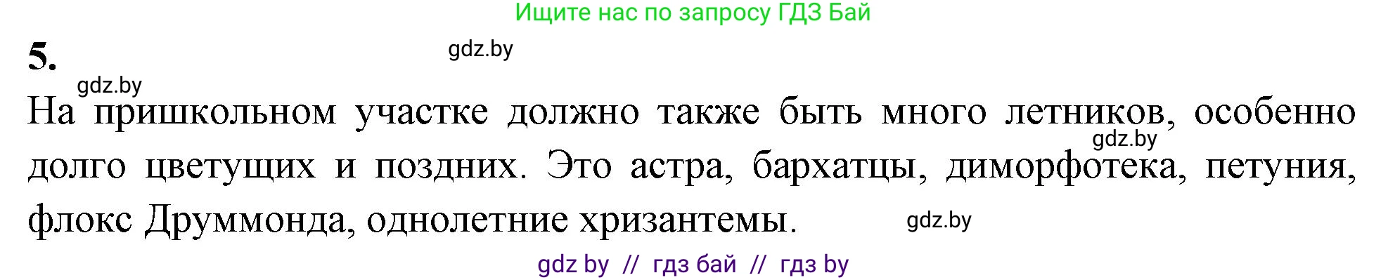 Биология, 10 класс тетрадь для лабораторных, практических работ и экскурсий, автор: Новик Ирина Михайловна, издательство Сэр-Вит, Минск, 2020, салатового цвета, страница 13, номер 5, Решение