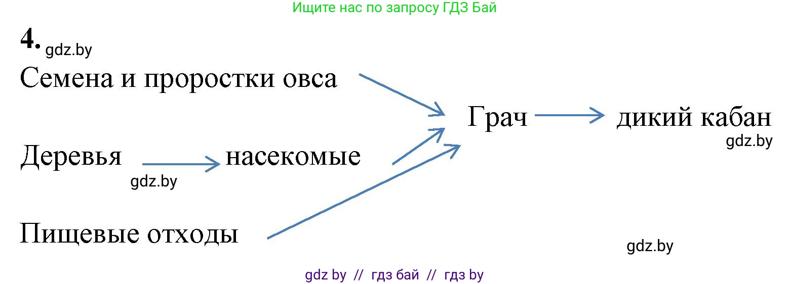 Биология, 10 класс тетрадь для лабораторных, практических работ и экскурсий, автор: Новик Ирина Михайловна, издательство Сэр-Вит, Минск, 2020, салатового цвета, страница 15, номер 4, Решение