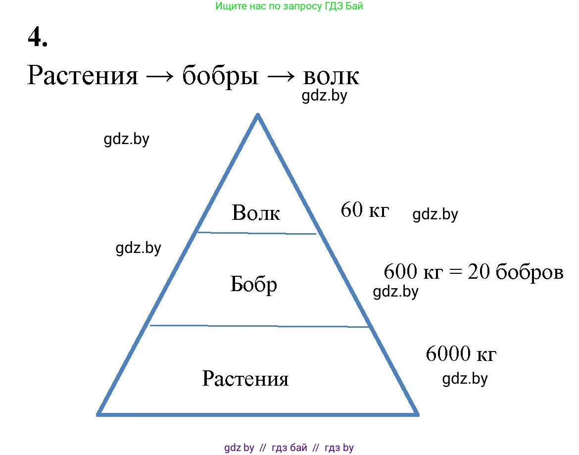 Биология, 10 класс тетрадь для лабораторных, практических работ и экскурсий, автор: Новик Ирина Михайловна, издательство Сэр-Вит, Минск, 2020, салатового цвета, страница 21, номер 4, Решение