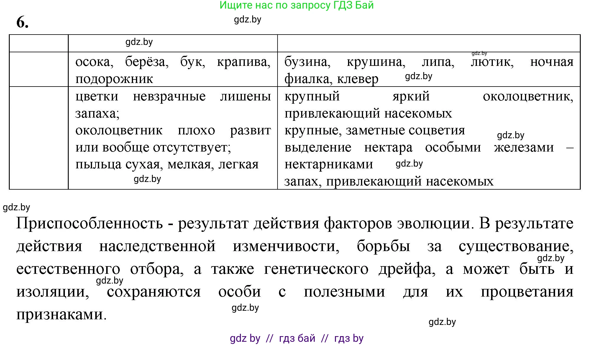 Биология, 11 класс Тетрадь для лабораторных и практических работ, авторы: Дашков Максим Леонидович, Головач Алексей Михайлович, издательство Аверсэв, Минск, 2021, оранжевого цвета, страница 37, номер 6, Решение