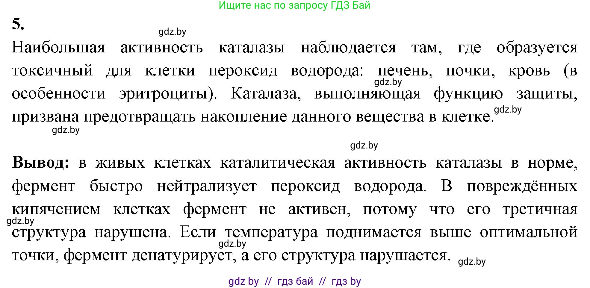 Биология, 11 класс Тетрадь для лабораторных и практических работ, авторы: Дашков Максим Леонидович, Головач Алексей Михайлович, издательство Аверсэв, Минск, 2021, оранжевого цвета, страница 6, номер 5, Решение