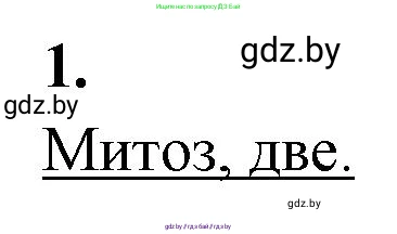 Биология, 11 класс Тетрадь для лабораторных и практических работ, авторы: Дашков Максим Леонидович, Головач Алексей Михайлович, издательство Аверсэв, Минск, 2021, оранжевого цвета, страница 15, номер 1, Решение