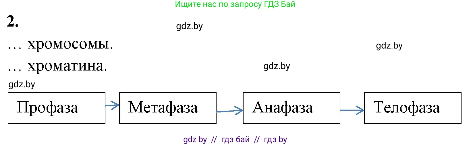 Биология, 11 класс Тетрадь для лабораторных и практических работ, авторы: Дашков Максим Леонидович, Головач Алексей Михайлович, издательство Аверсэв, Минск, 2021, оранжевого цвета, страница 15, номер 2, Решение