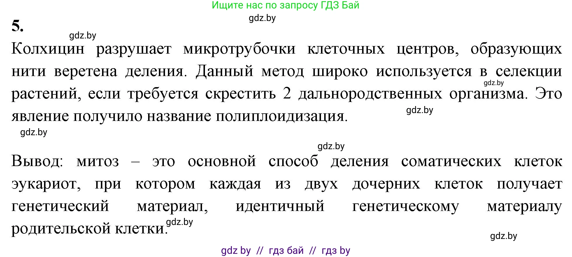 Биология, 11 класс Тетрадь для лабораторных и практических работ, авторы: Дашков Максим Леонидович, Головач Алексей Михайлович, издательство Аверсэв, Минск, 2021, оранжевого цвета, страница 17, номер 5, Решение