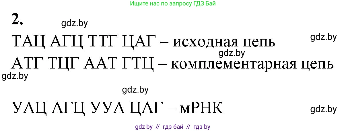 Биология, 11 класс Тетрадь для лабораторных и практических работ, авторы: Дашков Максим Леонидович, Головач Алексей Михайлович, издательство Аверсэв, Минск, 2021, оранжевого цвета, страница 20, номер 2, Решение