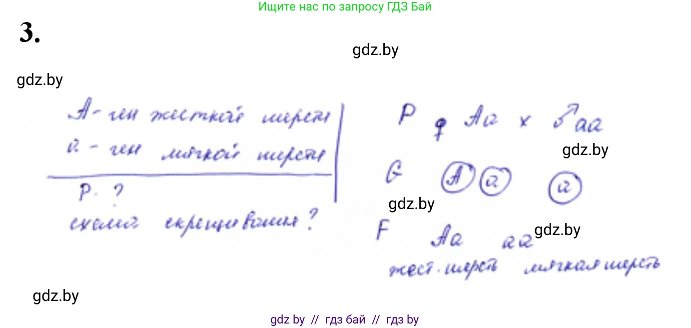 Биология, 11 класс Тетрадь для лабораторных и практических работ, авторы: Дашков Максим Леонидович, Головач Алексей Михайлович, издательство Аверсэв, Минск, 2021, оранжевого цвета, страница 22, номер 3, Решение