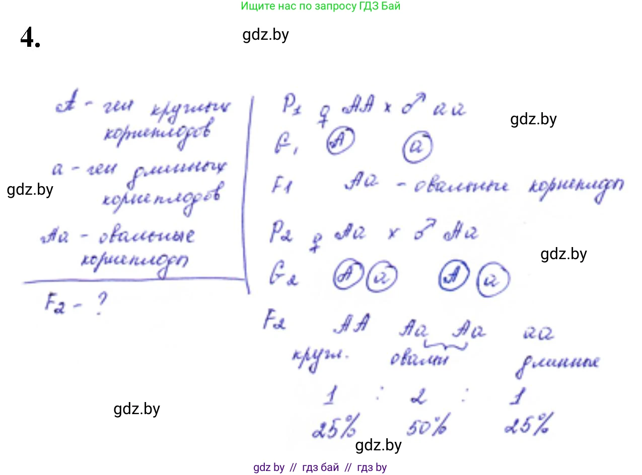 Биология, 11 класс Тетрадь для лабораторных и практических работ, авторы: Дашков Максим Леонидович, Головач Алексей Михайлович, издательство Аверсэв, Минск, 2021, оранжевого цвета, страница 22, номер 4, Решение