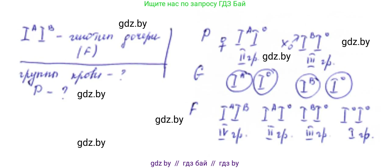 Биология, 11 класс Тетрадь для лабораторных и практических работ, авторы: Дашков Максим Леонидович, Головач Алексей Михайлович, издательство Аверсэв, Минск, 2021, оранжевого цвета, страница 23, номер 5, Решение