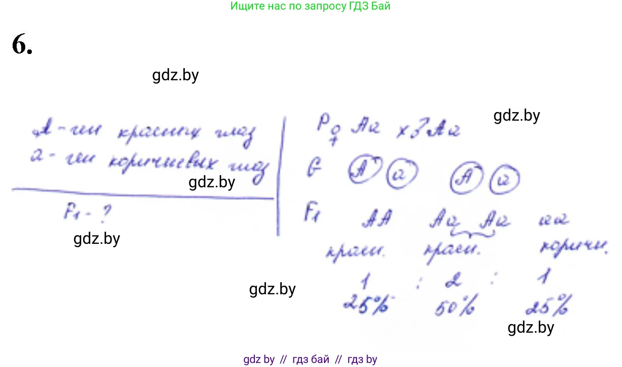 Биология, 11 класс Тетрадь для лабораторных и практических работ, авторы: Дашков Максим Леонидович, Головач Алексей Михайлович, издательство Аверсэв, Минск, 2021, оранжевого цвета, страница 24, номер 6, Решение