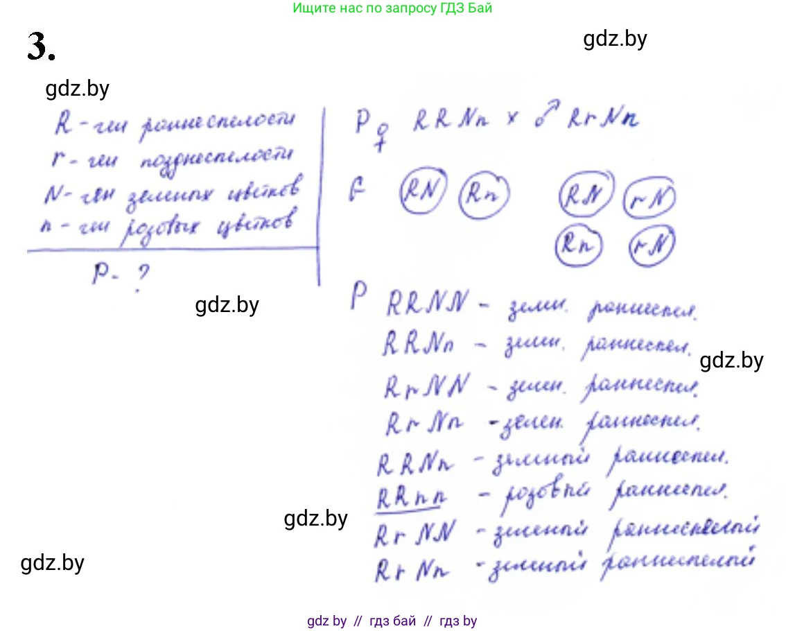 Биология, 11 класс Тетрадь для лабораторных и практических работ, авторы: Дашков Максим Леонидович, Головач Алексей Михайлович, издательство Аверсэв, Минск, 2021, оранжевого цвета, страница 25, номер 3, Решение