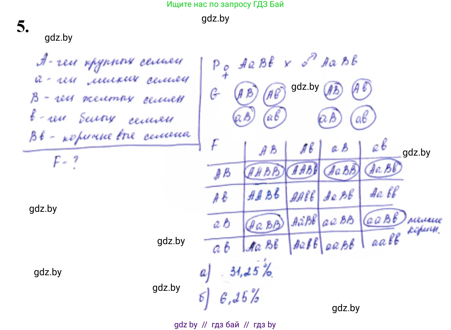 Биология, 11 класс Тетрадь для лабораторных и практических работ, авторы: Дашков Максим Леонидович, Головач Алексей Михайлович, издательство Аверсэв, Минск, 2021, оранжевого цвета, страница 26, номер 5, Решение