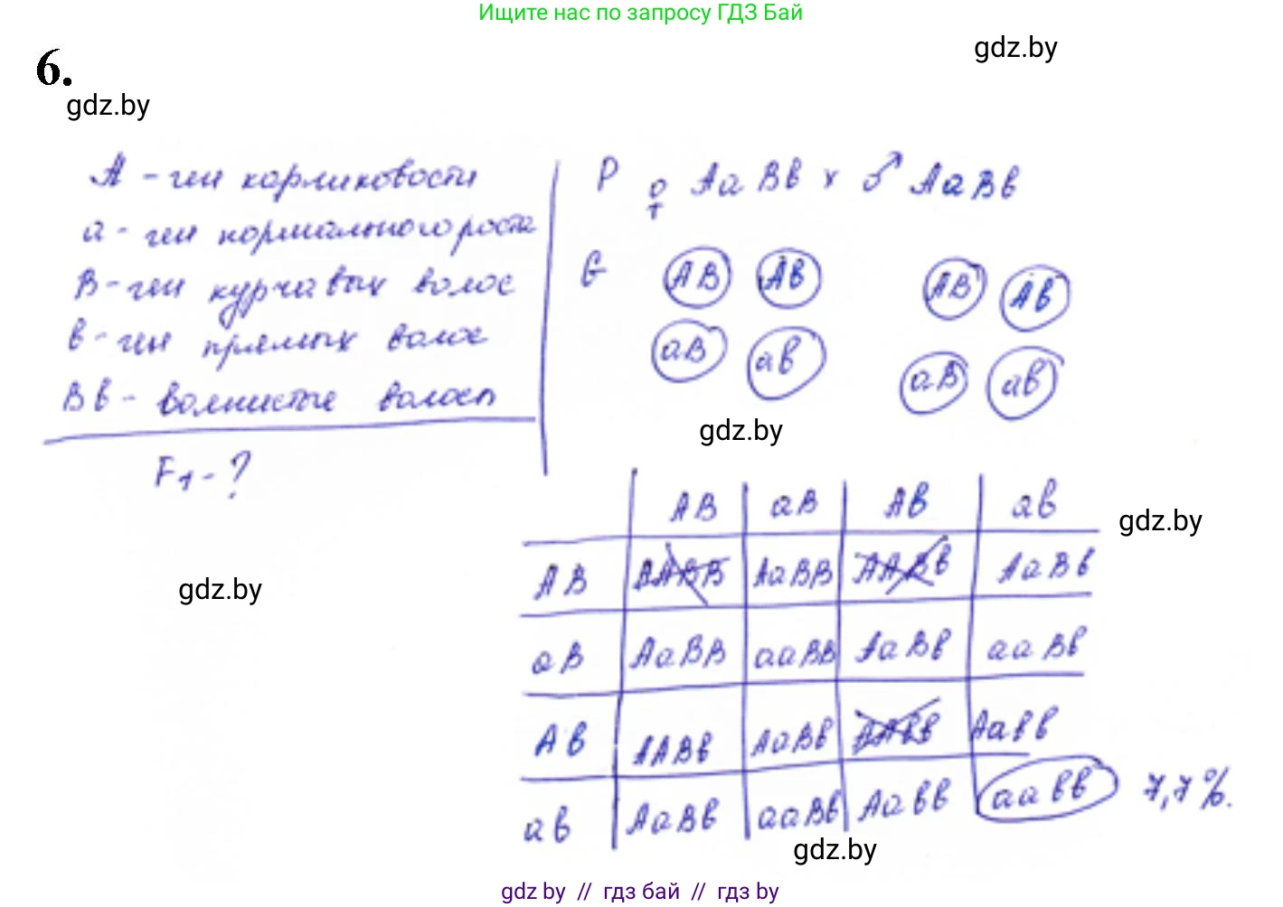 Биология, 11 класс Тетрадь для лабораторных и практических работ, авторы: Дашков Максим Леонидович, Головач Алексей Михайлович, издательство Аверсэв, Минск, 2021, оранжевого цвета, страница 27, номер 6, Решение