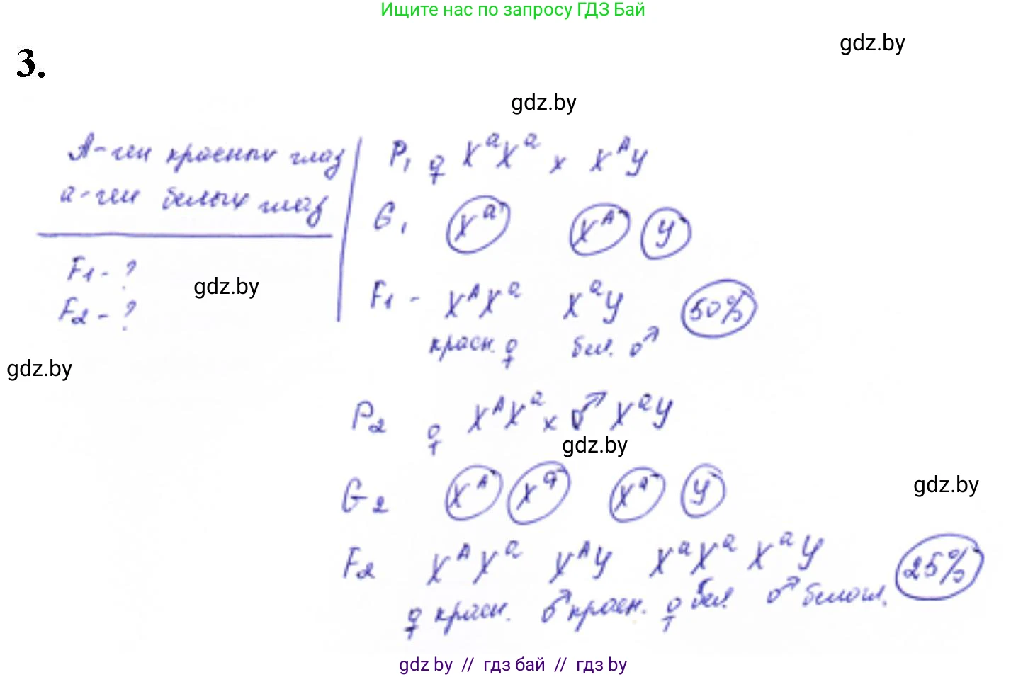 Биология, 11 класс Тетрадь для лабораторных и практических работ, авторы: Дашков Максим Леонидович, Головач Алексей Михайлович, издательство Аверсэв, Минск, 2021, оранжевого цвета, страница 28, номер 3, Решение