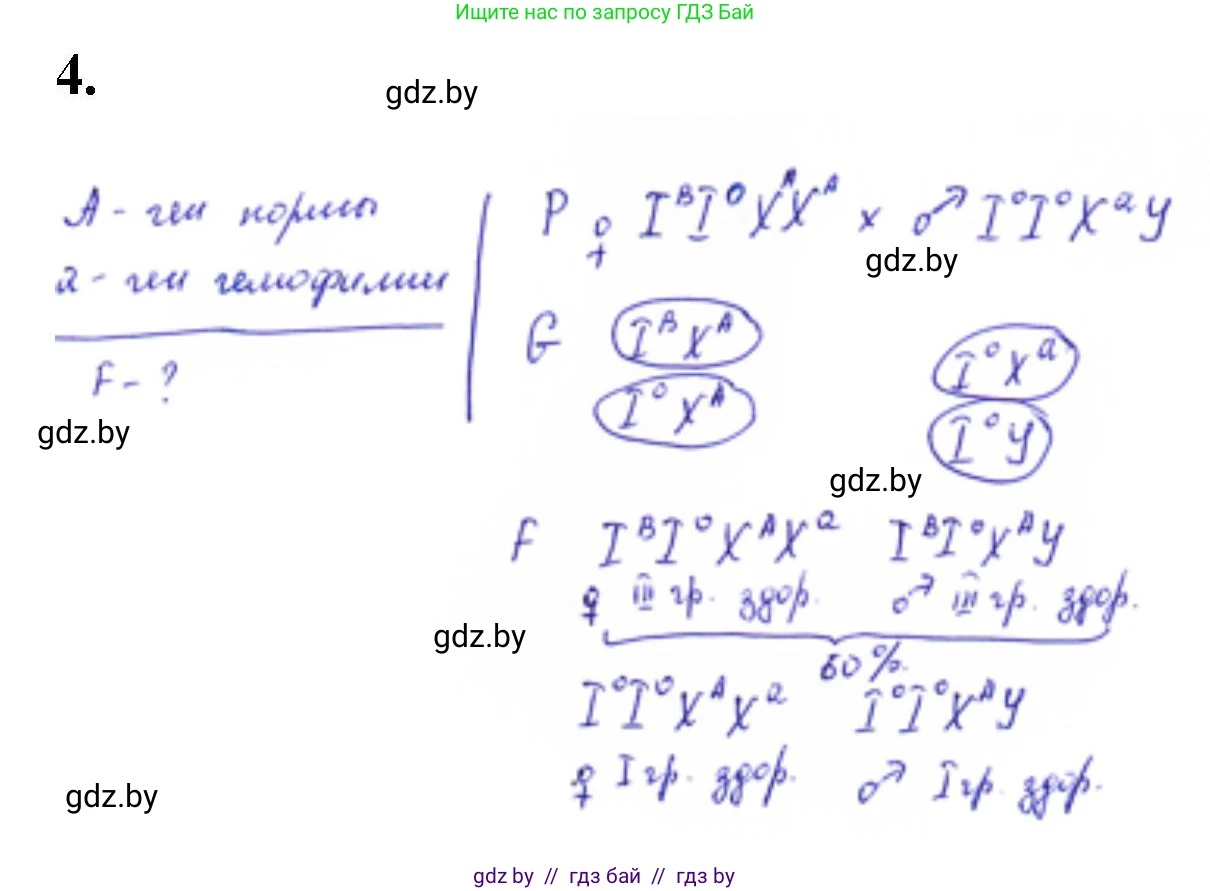 Биология, 11 класс Тетрадь для лабораторных и практических работ, авторы: Дашков Максим Леонидович, Головач Алексей Михайлович, издательство Аверсэв, Минск, 2021, оранжевого цвета, страница 28, номер 4, Решение