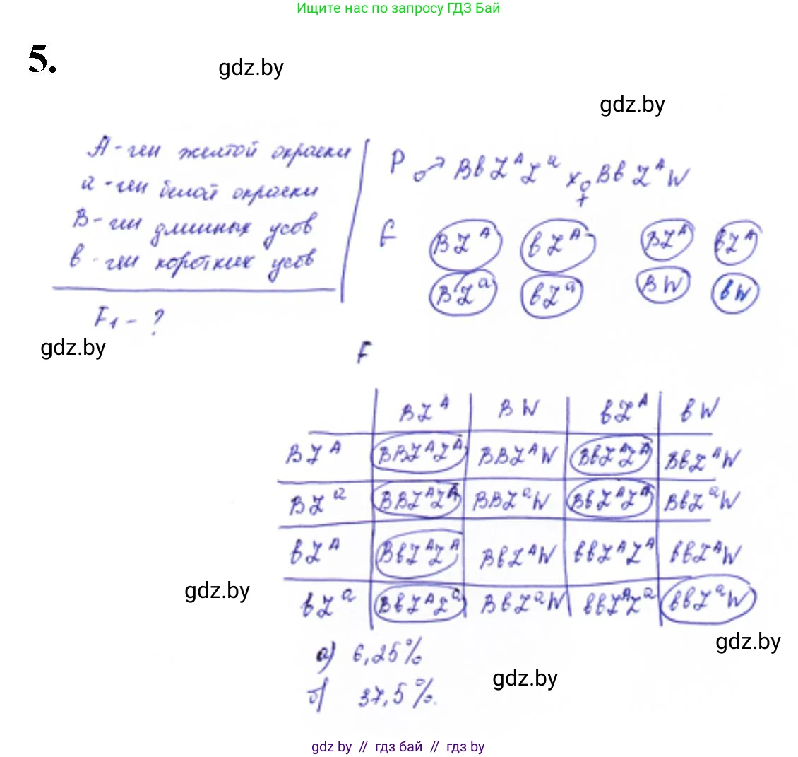 Биология, 11 класс Тетрадь для лабораторных и практических работ, авторы: Дашков Максим Леонидович, Головач Алексей Михайлович, издательство Аверсэв, Минск, 2021, оранжевого цвета, страница 29, номер 5, Решение