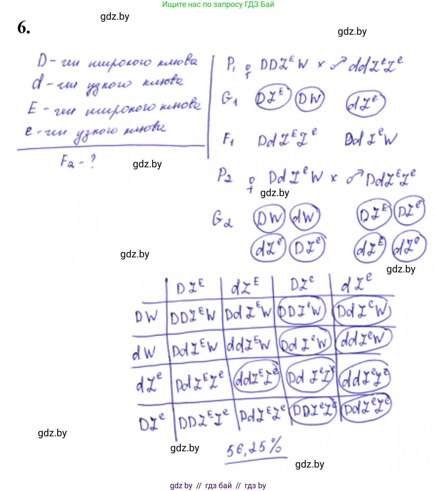 Биология, 11 класс Тетрадь для лабораторных и практических работ, авторы: Дашков Максим Леонидович, Головач Алексей Михайлович, издательство Аверсэв, Минск, 2021, оранжевого цвета, страница 30, номер 6, Решение