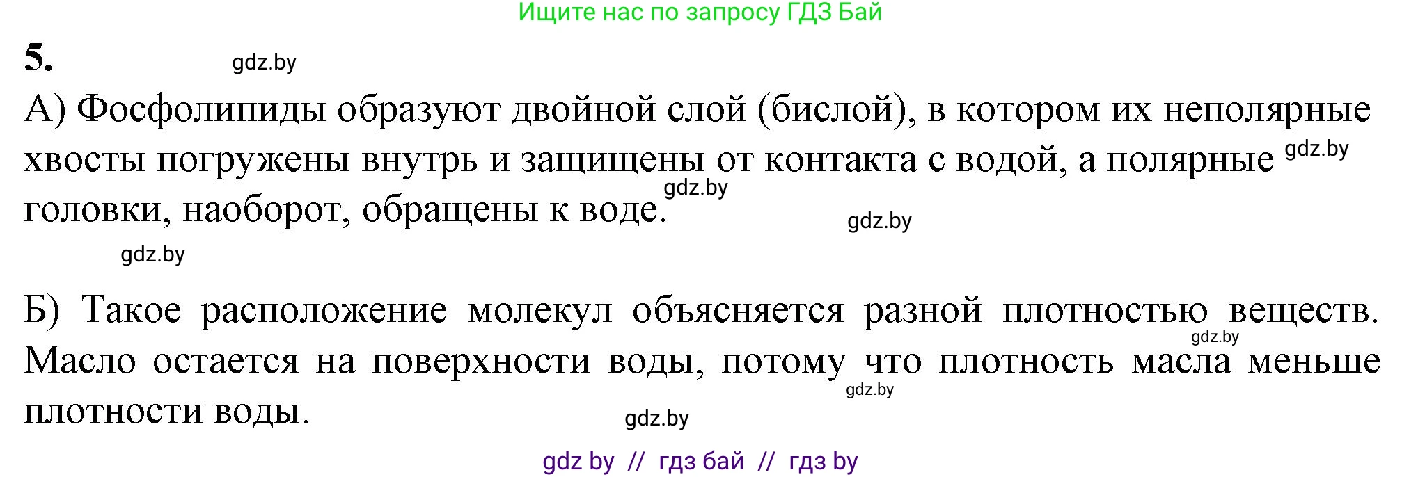 Биология, 11 класс рабочая тетрадь, авторы: Дашков Максим Леонидович, Головач Алексей Михайлович, издательство Аверсэв, Минск, 2021, жёлтого цвета, страница 15, номер 5, Решение