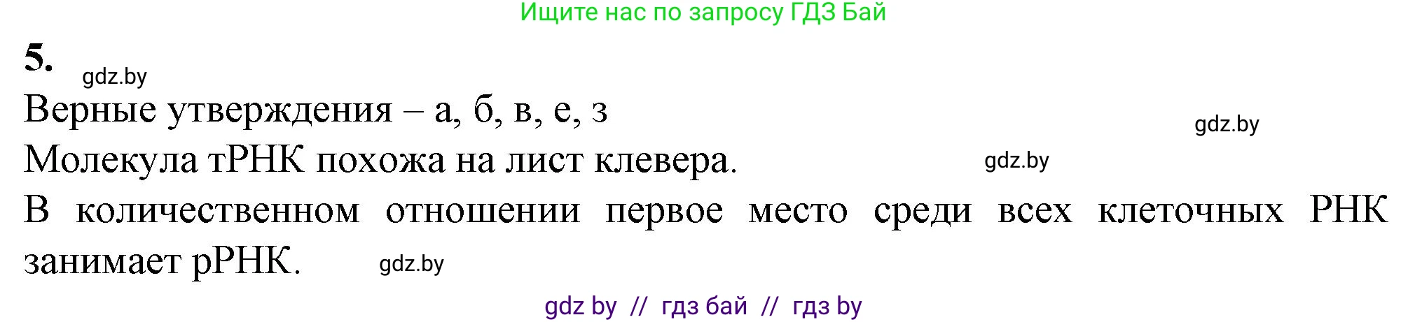 Биология, 11 класс рабочая тетрадь, авторы: Дашков Максим Леонидович, Головач Алексей Михайлович, издательство Аверсэв, Минск, 2021, жёлтого цвета, страница 19, номер 5, Решение