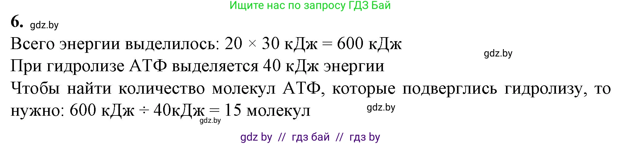 Биология, 11 класс рабочая тетрадь, авторы: Дашков Максим Леонидович, Головач Алексей Михайлович, издательство Аверсэв, Минск, 2021, жёлтого цвета, страница 20, номер 6, Решение