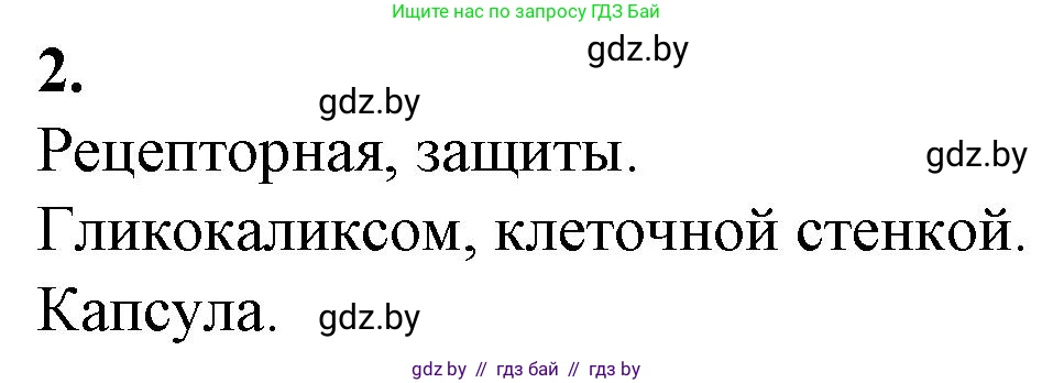 Биология, 11 класс рабочая тетрадь, авторы: Дашков Максим Леонидович, Головач Алексей Михайлович, издательство Аверсэв, Минск, 2021, жёлтого цвета, страница 26, номер 2, Решение