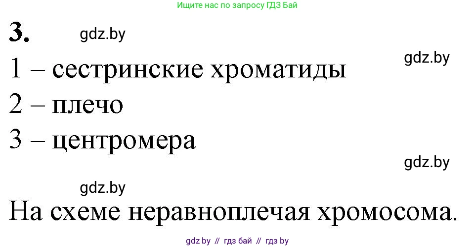 Биология, 11 класс рабочая тетрадь, авторы: Дашков Максим Леонидович, Головач Алексей Михайлович, издательство Аверсэв, Минск, 2021, жёлтого цвета, страница 33, номер 3, Решение