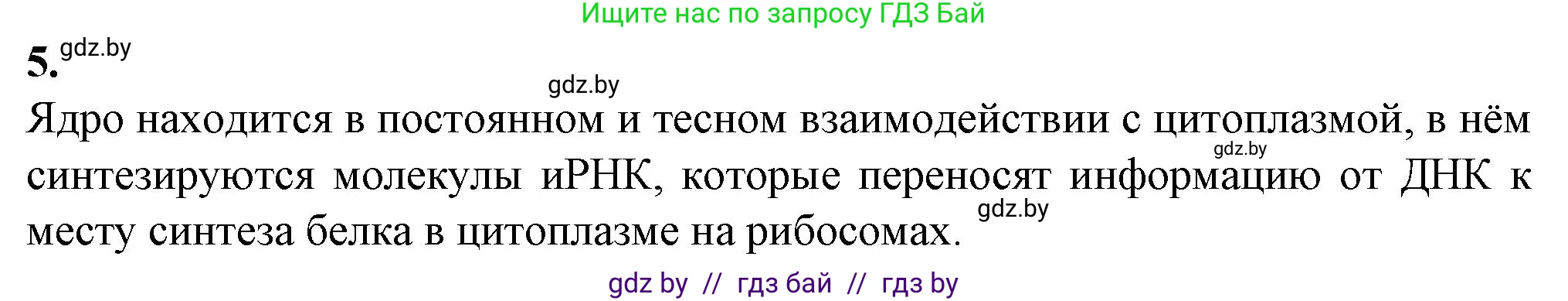 Биология, 11 класс рабочая тетрадь, авторы: Дашков Максим Леонидович, Головач Алексей Михайлович, издательство Аверсэв, Минск, 2021, жёлтого цвета, страница 33, номер 5, Решение