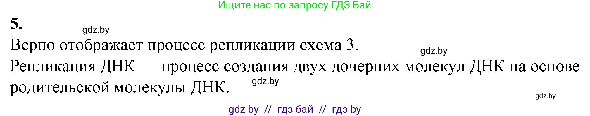 Биология, 11 класс рабочая тетрадь, авторы: Дашков Максим Леонидович, Головач Алексей Михайлович, издательство Аверсэв, Минск, 2021, жёлтого цвета, страница 38, номер 5, Решение
