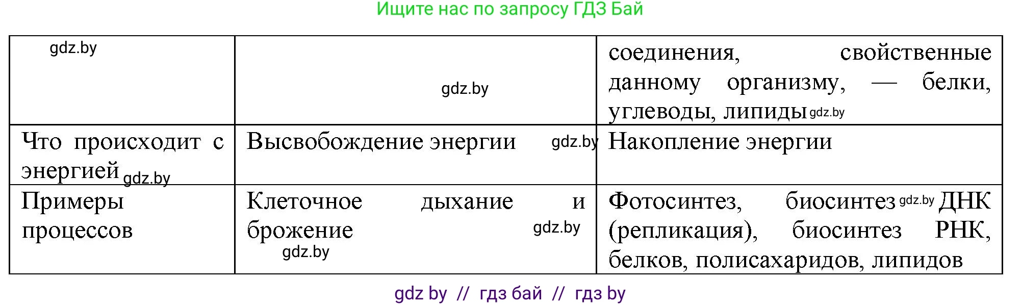 Биология, 11 класс рабочая тетрадь, авторы: Дашков Максим Леонидович, Головач Алексей Михайлович, издательство Аверсэв, Минск, 2021, жёлтого цвета, страница 47, номер 2, Решение (продолжение 2)