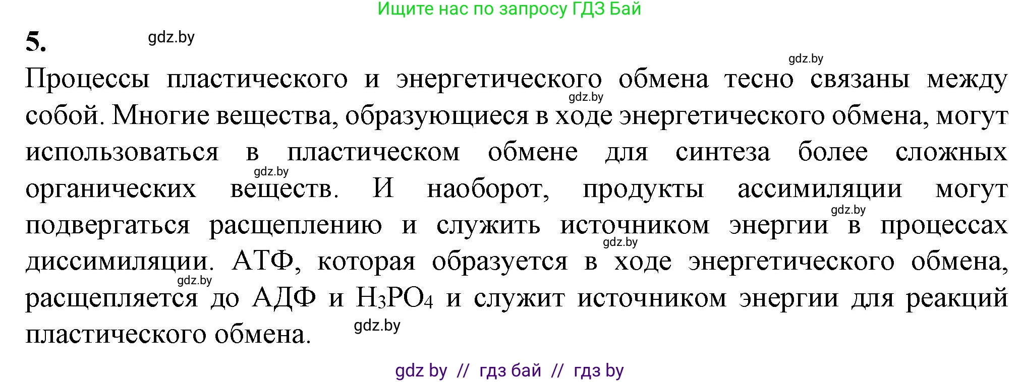 Биология, 11 класс рабочая тетрадь, авторы: Дашков Максим Леонидович, Головач Алексей Михайлович, издательство Аверсэв, Минск, 2021, жёлтого цвета, страница 48, номер 5, Решение