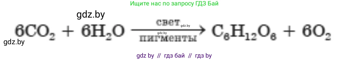 Биология, 11 класс рабочая тетрадь, авторы: Дашков Максим Леонидович, Головач Алексей Михайлович, издательство Аверсэв, Минск, 2021, жёлтого цвета, страница 52, номер 2, Решение