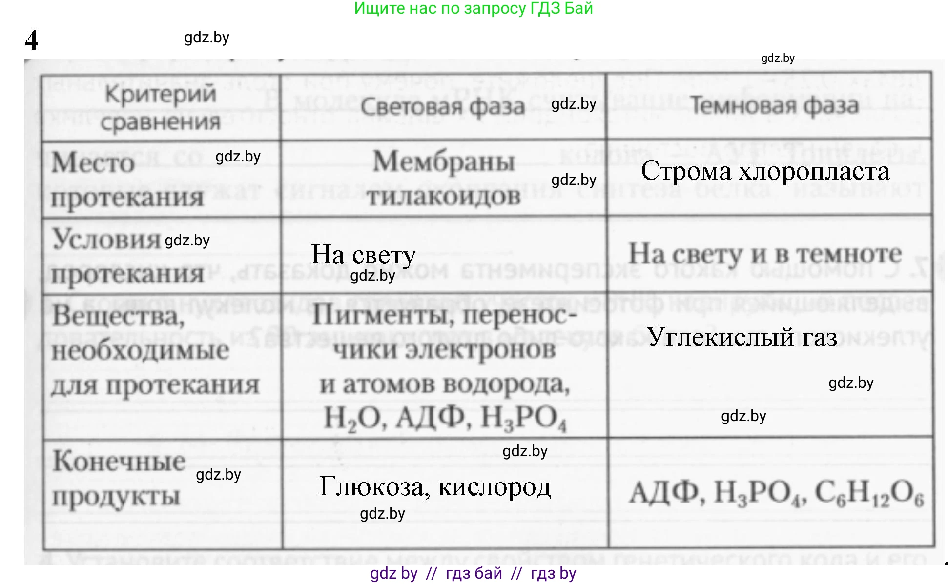 Биология, 11 класс рабочая тетрадь, авторы: Дашков Максим Леонидович, Головач Алексей Михайлович, издательство Аверсэв, Минск, 2021, жёлтого цвета, страница 53, номер 4, Решение