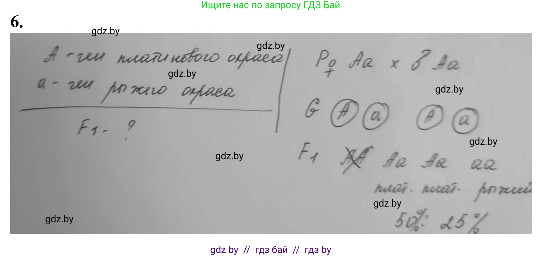 Биология, 11 класс рабочая тетрадь, авторы: Дашков Максим Леонидович, Головач Алексей Михайлович, издательство Аверсэв, Минск, 2021, жёлтого цвета, страница 77, номер 6, Решение