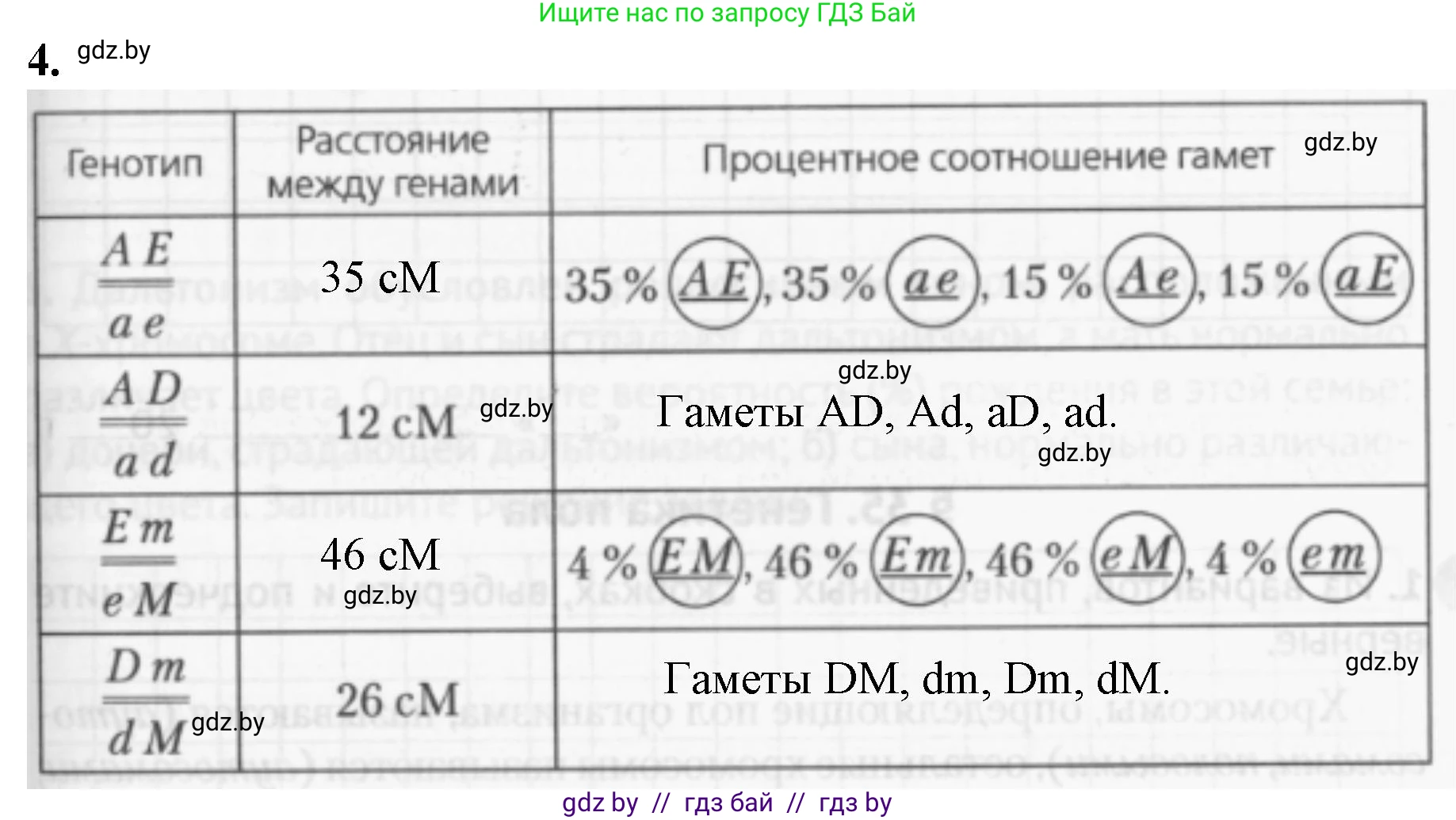 Биология, 11 класс рабочая тетрадь, авторы: Дашков Максим Леонидович, Головач Алексей Михайлович, издательство Аверсэв, Минск, 2021, жёлтого цвета, страница 81, номер 4, Решение