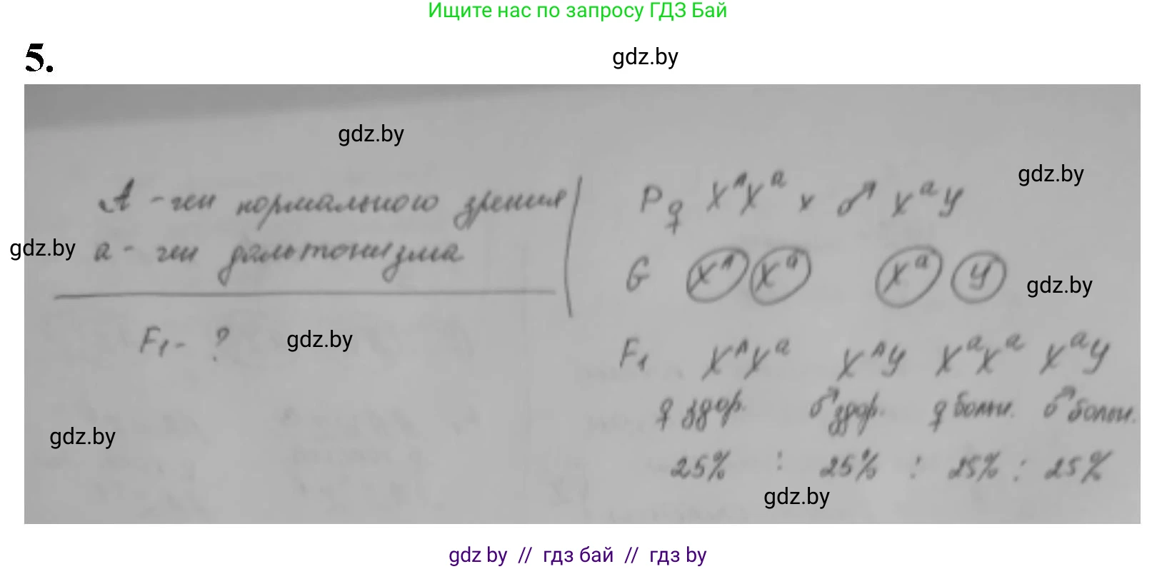 Биология, 11 класс рабочая тетрадь, авторы: Дашков Максим Леонидович, Головач Алексей Михайлович, издательство Аверсэв, Минск, 2021, жёлтого цвета, страница 83, номер 5, Решение
