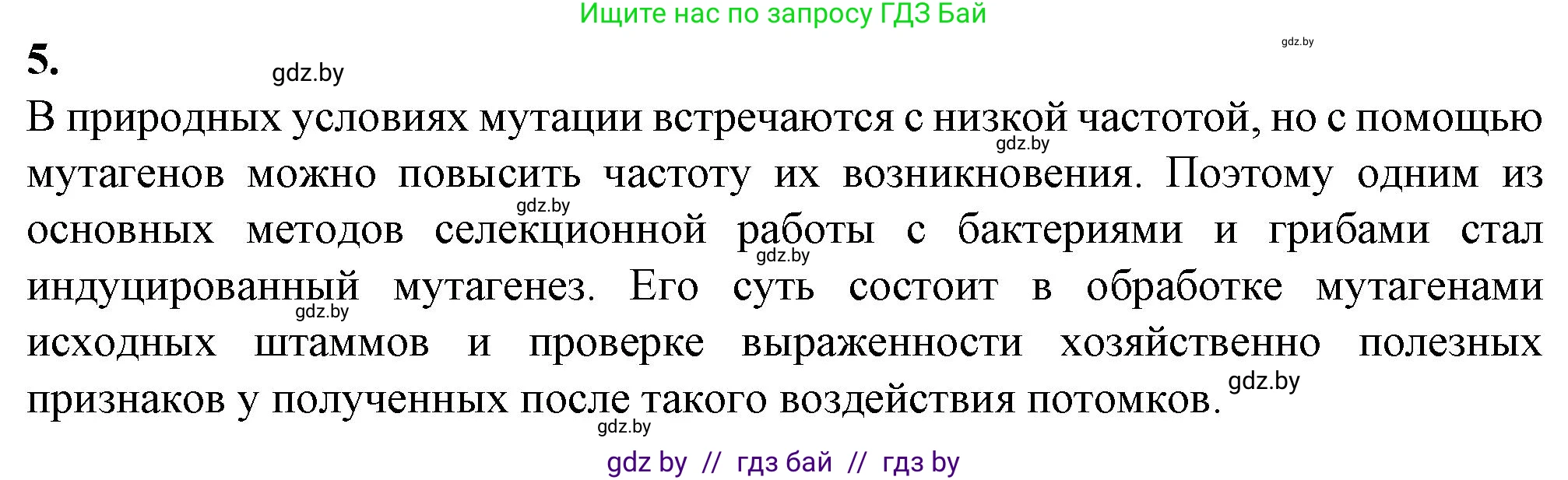 Биология, 11 класс рабочая тетрадь, авторы: Дашков Максим Леонидович, Головач Алексей Михайлович, издательство Аверсэв, Минск, 2021, жёлтого цвета, страница 97, номер 5, Решение