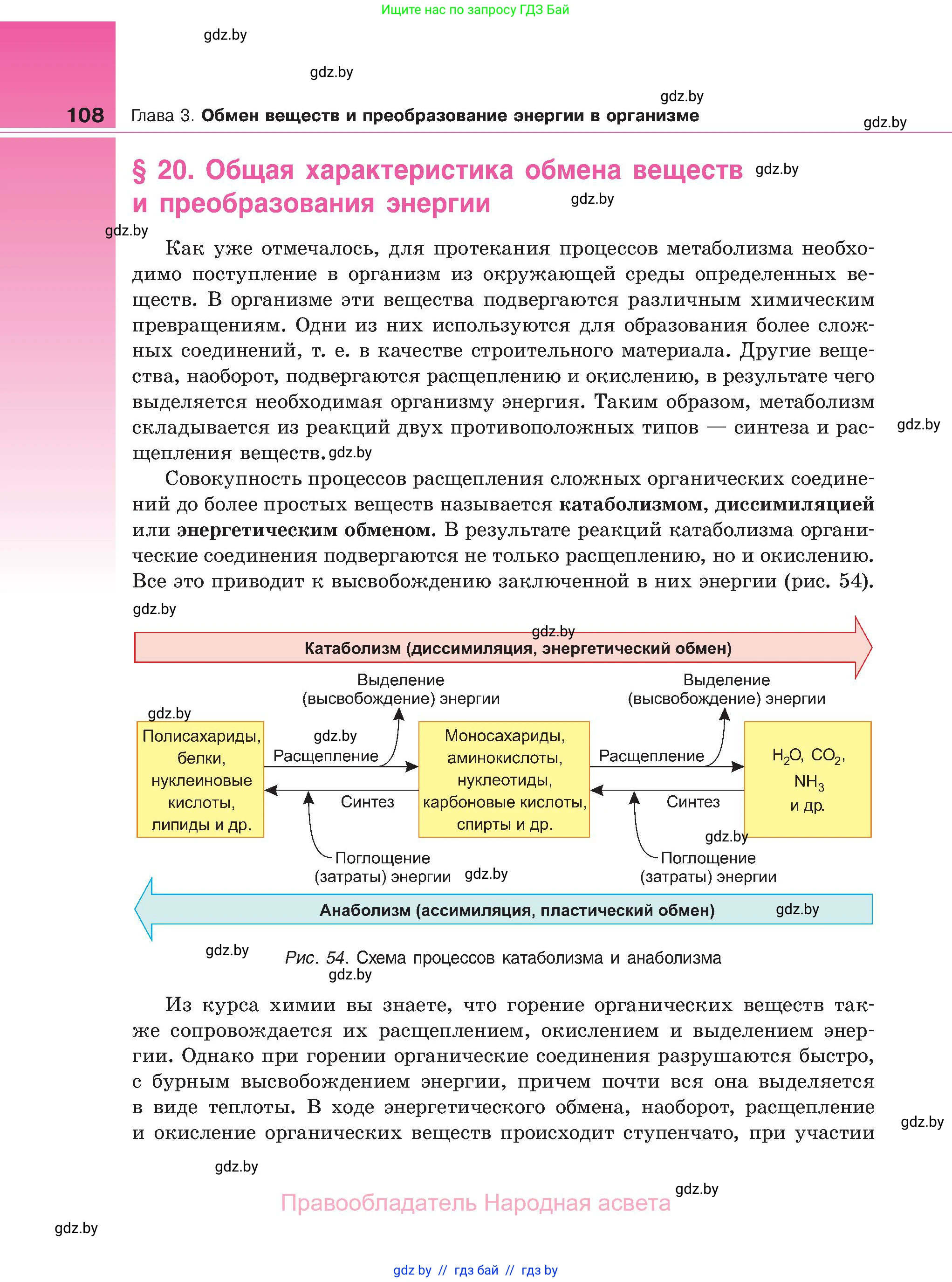Биология, 11 класс Учебник, авторы: Дашков Максим Леонидович, Песнякевич Александр Георгиевич, Головач Алексей Михайлович, издательство Народная асвета, Минск, 2021, голубого цвета, страница 108