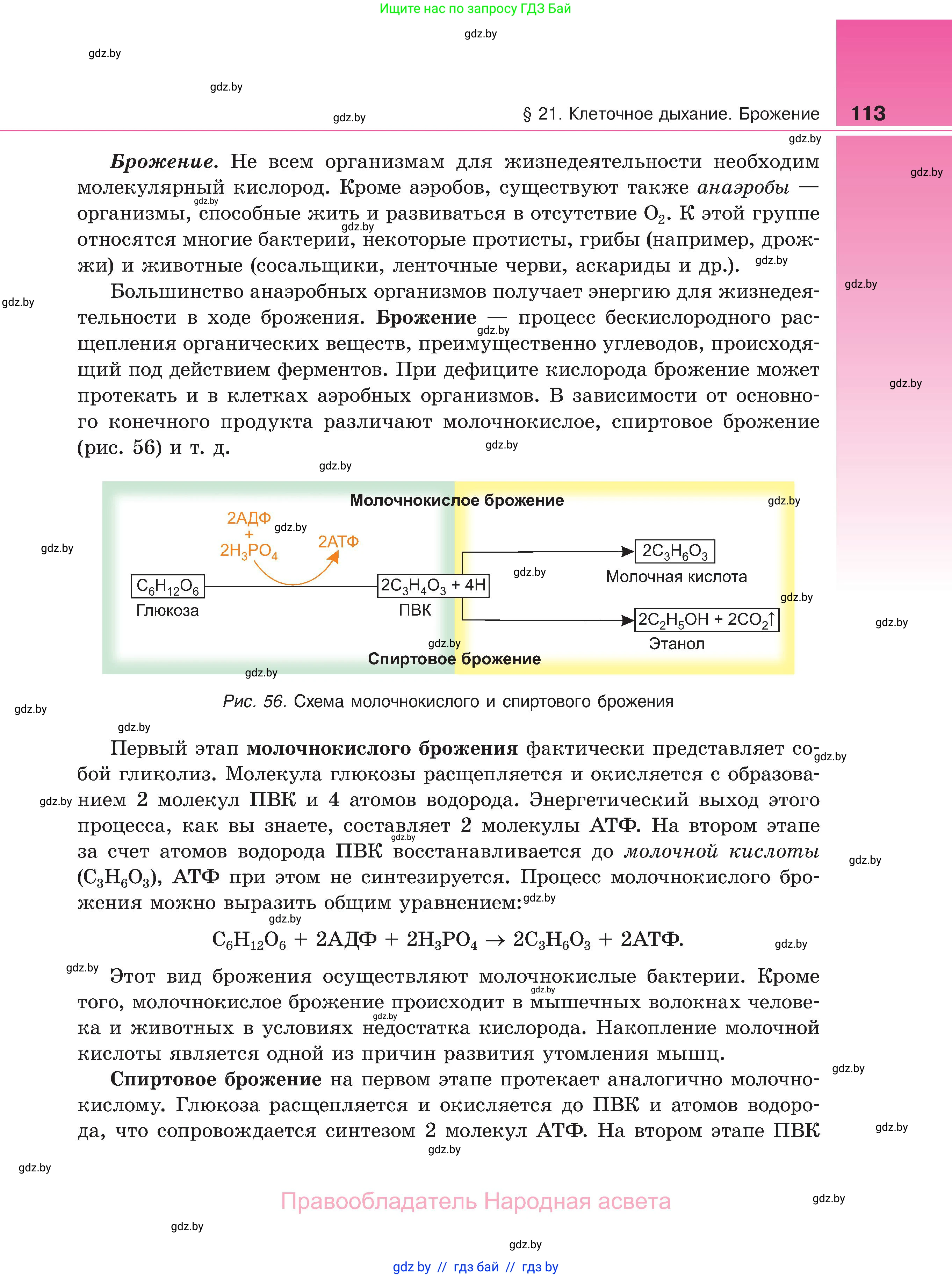 Биология, 11 класс Учебник, авторы: Дашков Максим Леонидович, Песнякевич Александр Георгиевич, Головач Алексей Михайлович, издательство Народная асвета, Минск, 2021, голубого цвета, страница 113