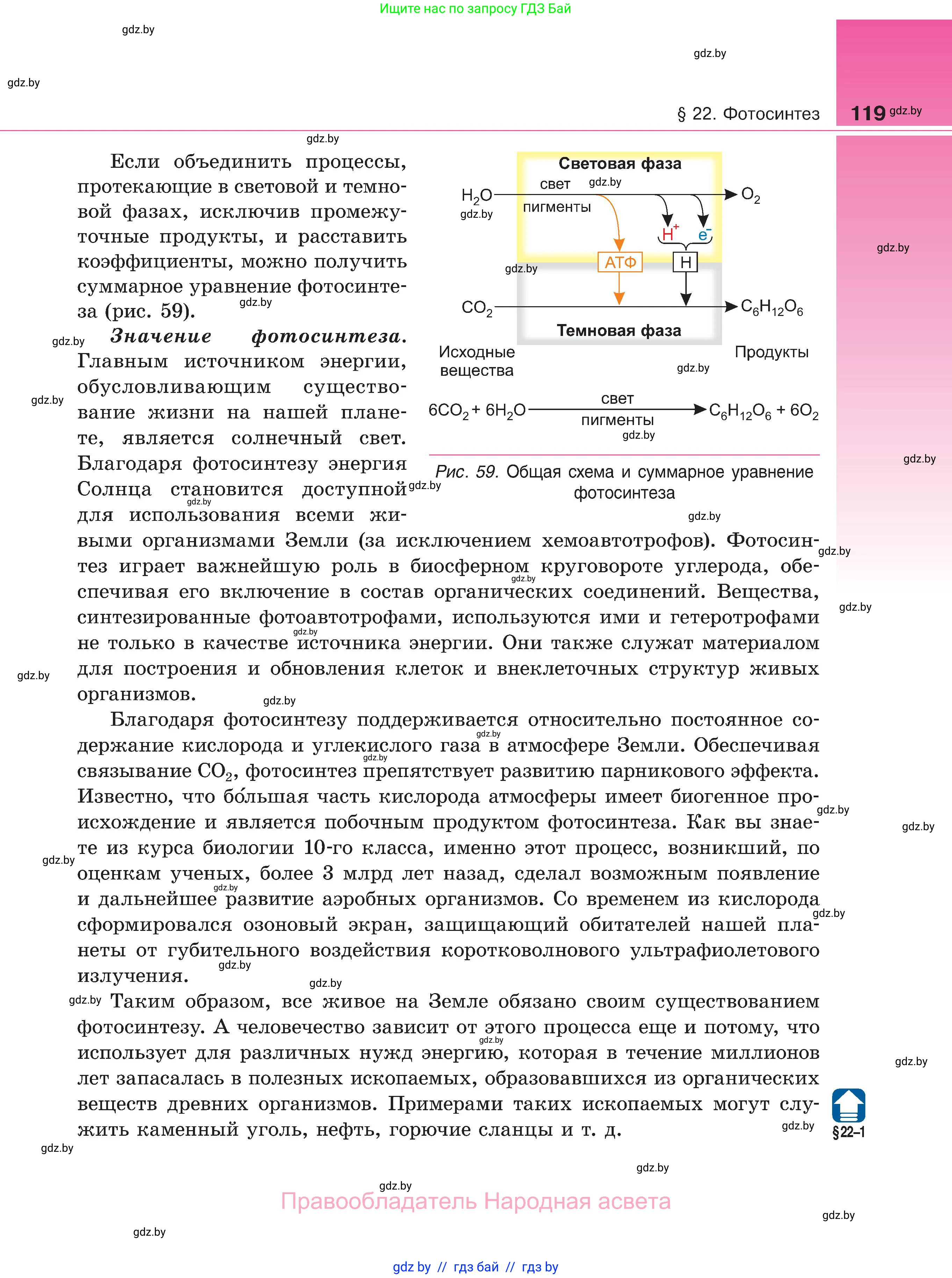 Биология, 11 класс Учебник, авторы: Дашков Максим Леонидович, Песнякевич Александр Георгиевич, Головач Алексей Михайлович, издательство Народная асвета, Минск, 2021, голубого цвета, страница 119
