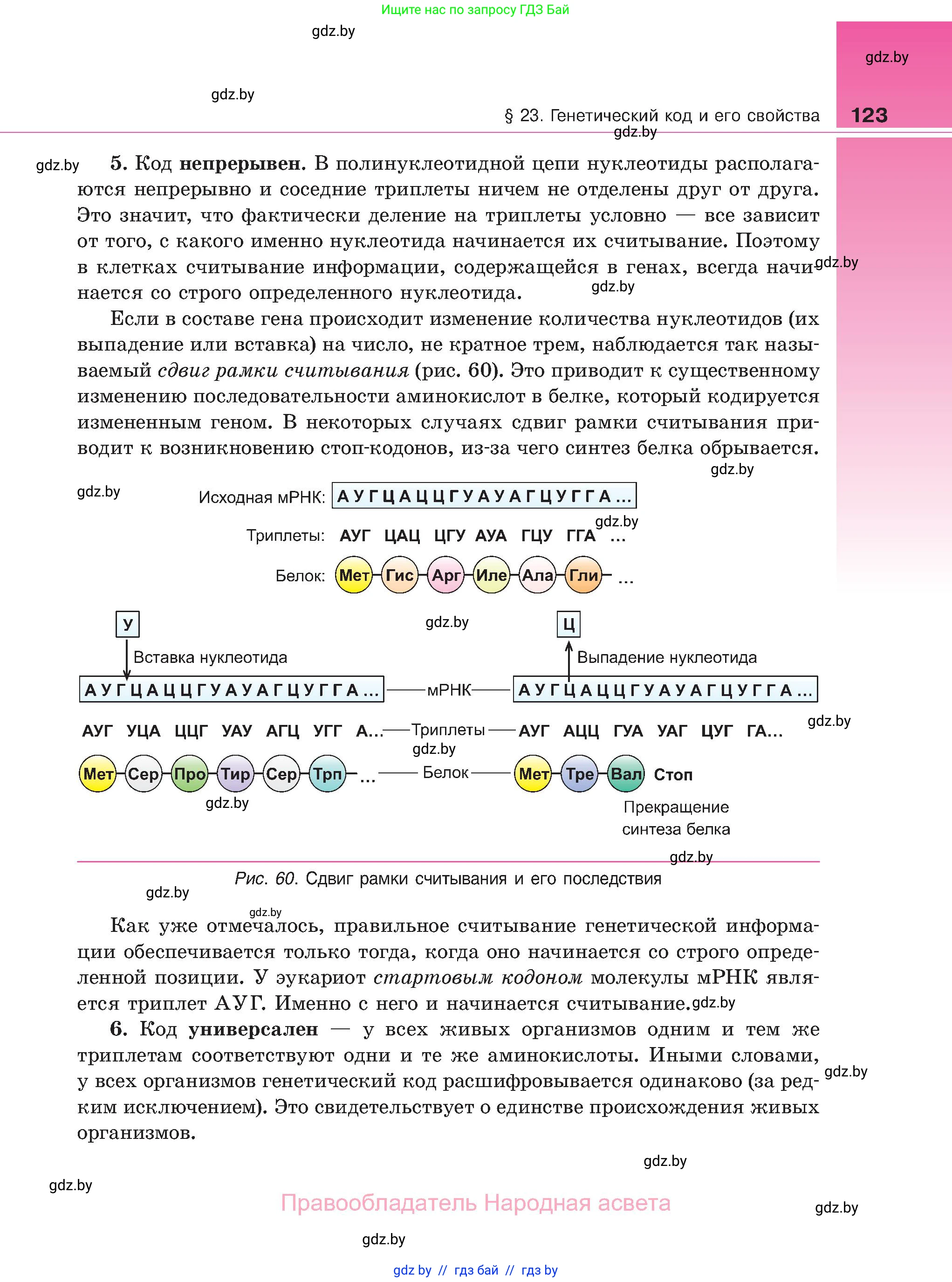 Биология, 11 класс Учебник, авторы: Дашков Максим Леонидович, Песнякевич Александр Георгиевич, Головач Алексей Михайлович, издательство Народная асвета, Минск, 2021, голубого цвета, страница 123