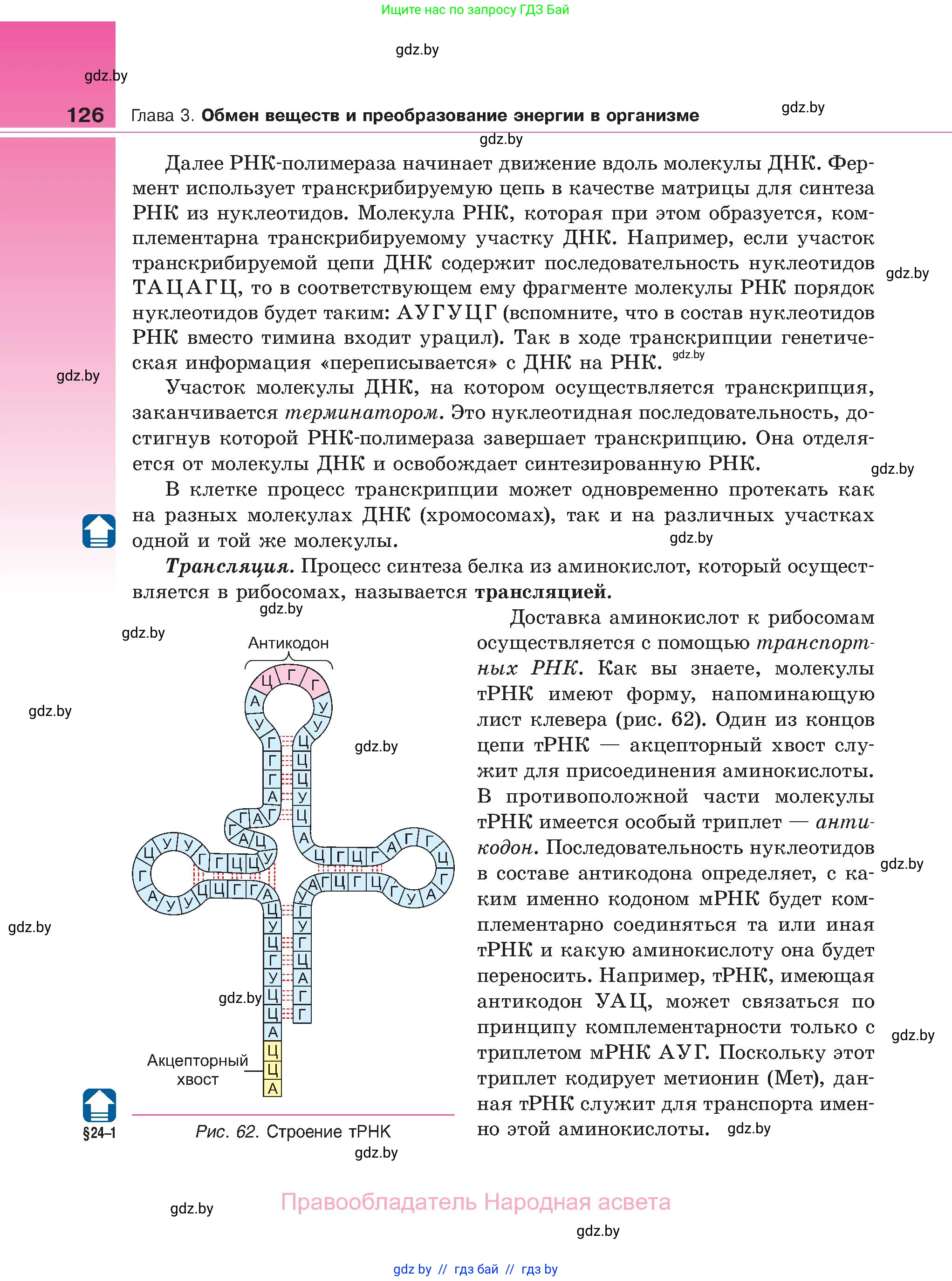 Биология, 11 класс Учебник, авторы: Дашков Максим Леонидович, Песнякевич Александр Георгиевич, Головач Алексей Михайлович, издательство Народная асвета, Минск, 2021, голубого цвета, страница 126