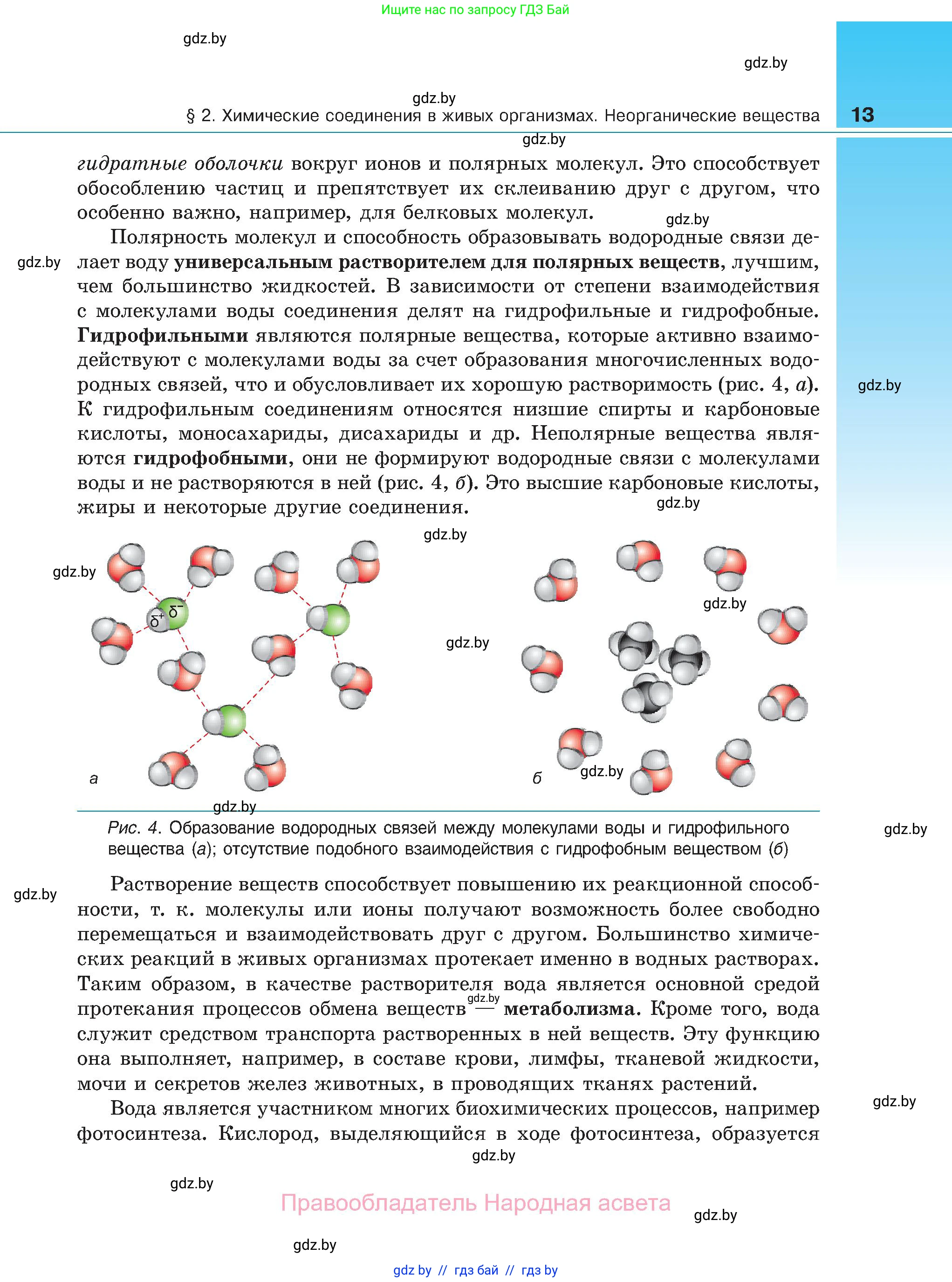 Биология, 11 класс Учебник, авторы: Дашков Максим Леонидович, Песнякевич Александр Георгиевич, Головач Алексей Михайлович, издательство Народная асвета, Минск, 2021, голубого цвета, страница 13