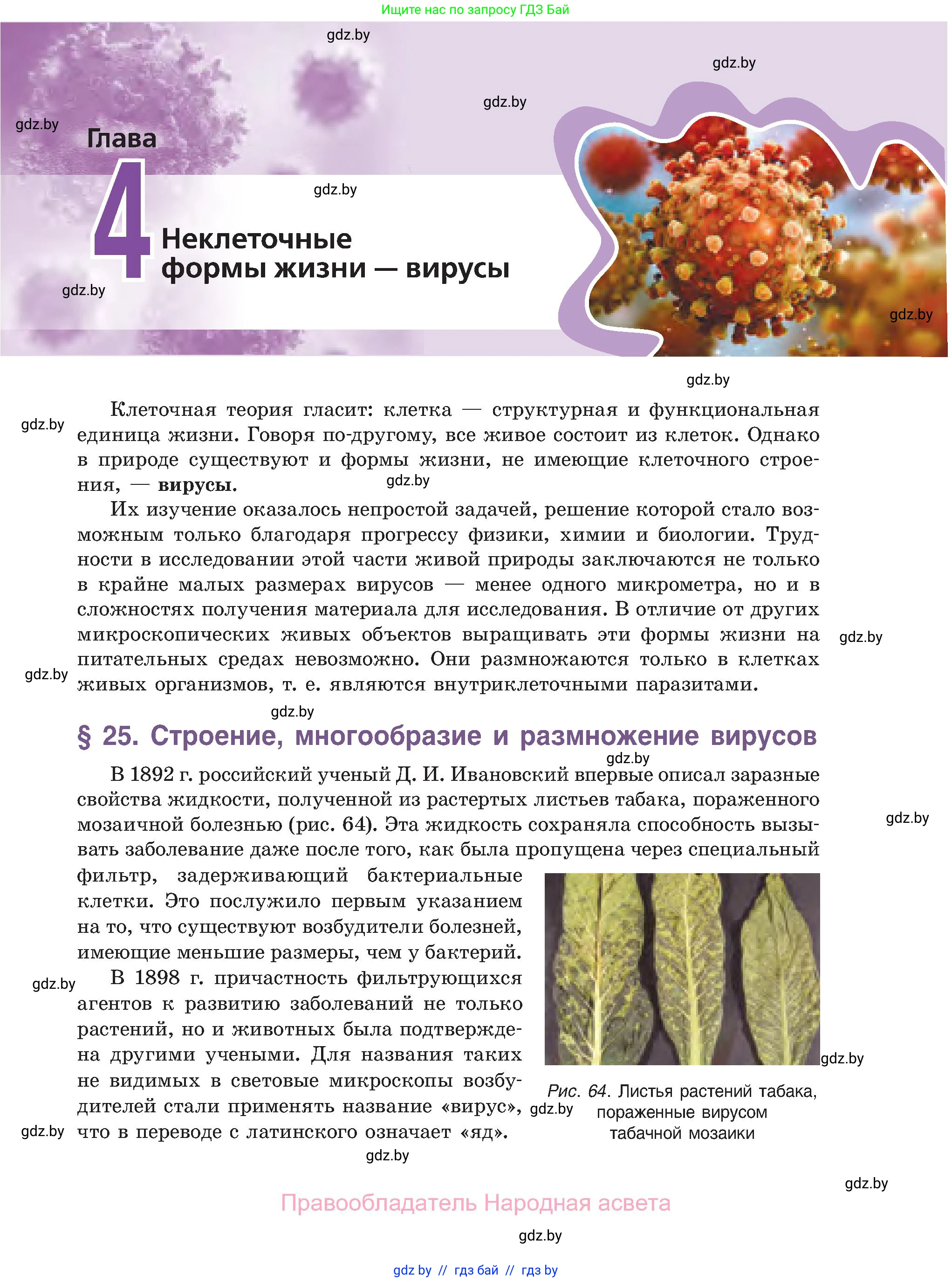 Биология, 11 класс Учебник, авторы: Дашков Максим Леонидович, Песнякевич Александр Георгиевич, Головач Алексей Михайлович, издательство Народная асвета, Минск, 2021, голубого цвета, страница 131