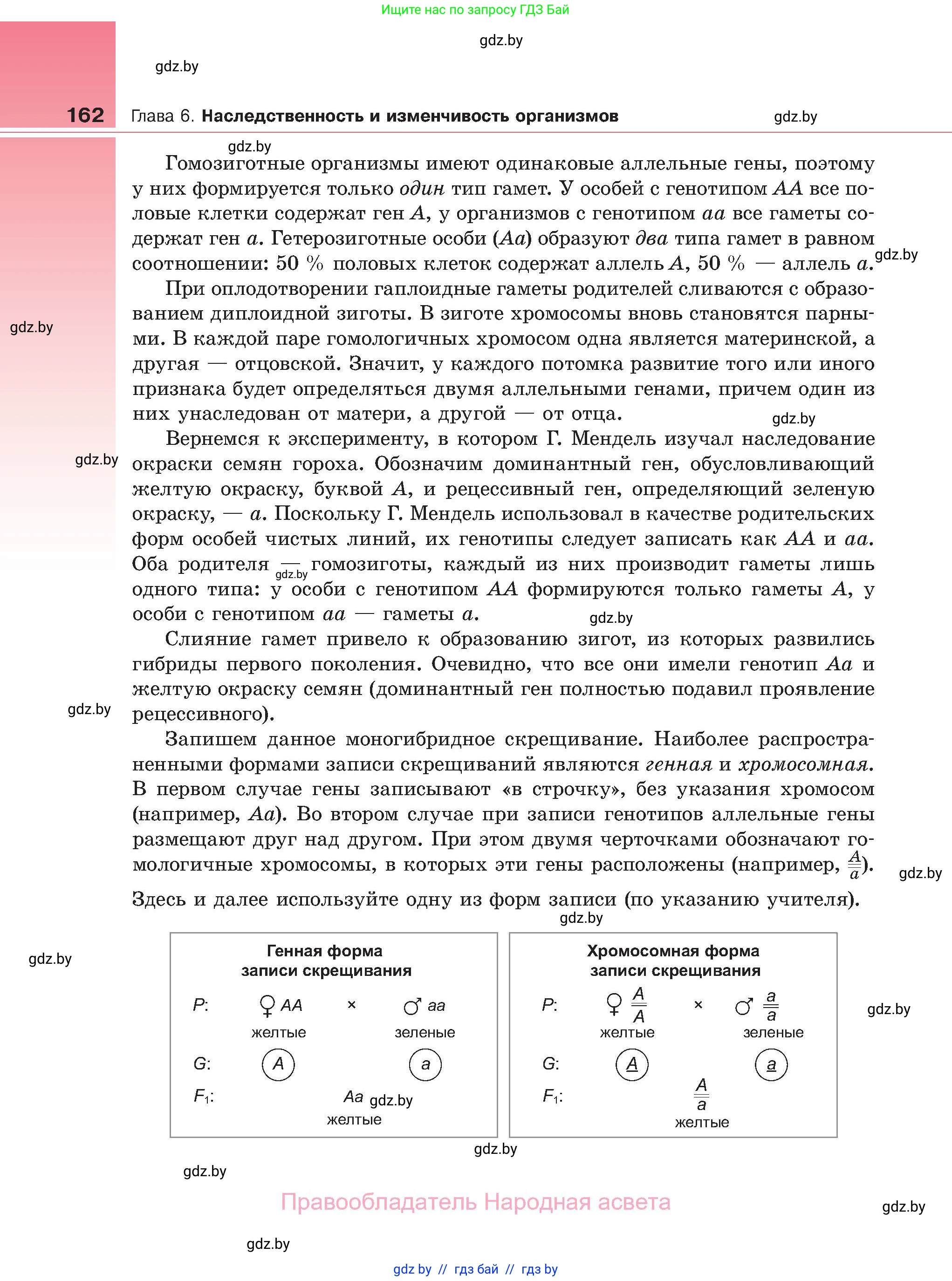 Биология, 11 класс Учебник, авторы: Дашков Максим Леонидович, Песнякевич Александр Георгиевич, Головач Алексей Михайлович, издательство Народная асвета, Минск, 2021, голубого цвета, страница 162